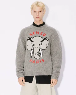 Flash Sale Jersey con motivo ' &Eacute;l&eacute;phant' bordado Hombre Jerseis