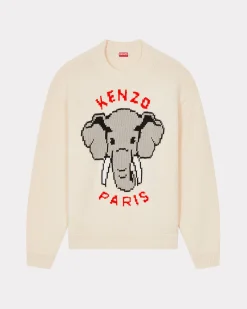 Clearance Jersey con motivo ' &Eacute;l&eacute;phant' bordado Hombre Jerseis
