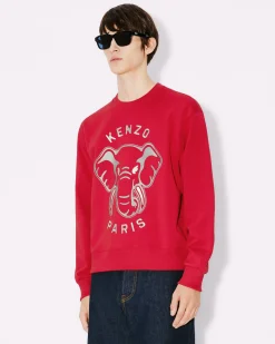 New Sudadera ' &Eacute;l&eacute;phant' Hombre Sudaderas y Hoodies